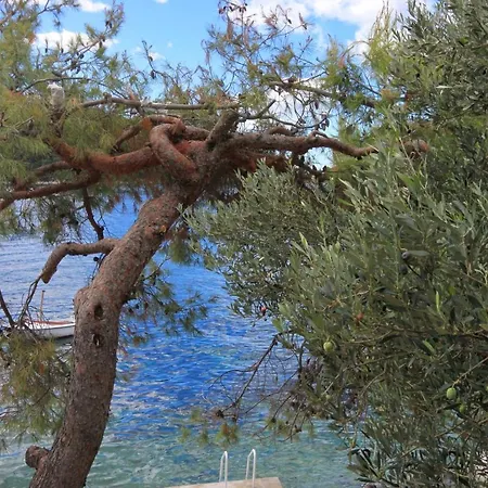 Apartments By The Sea Karbuni, Korcula - 9308 Prizba Exterior photo