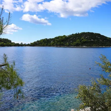 Apartments By The Sea Karbuni, Korcula - 9308 Prizba Exterior photo