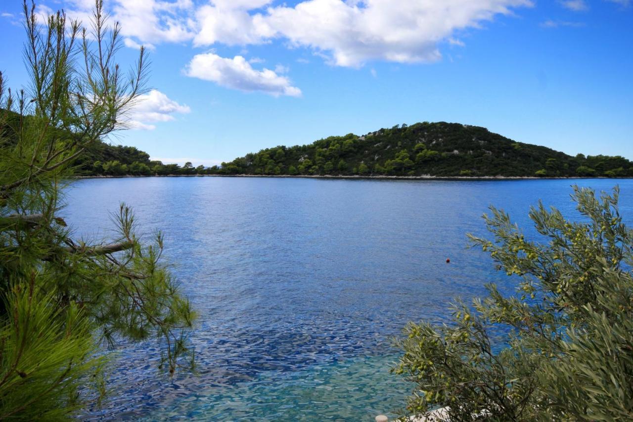 By The Sea Karbuni, Korcula - 9308 Apartment *